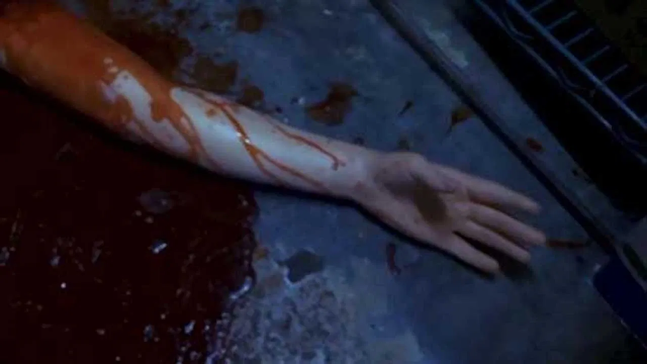 Human Hibachi backdrop