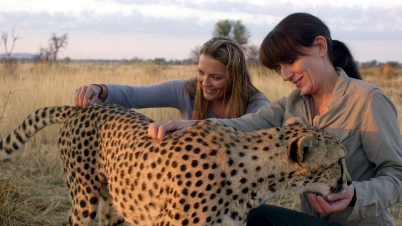 Davina McCall: Life at the Extreme backdrop