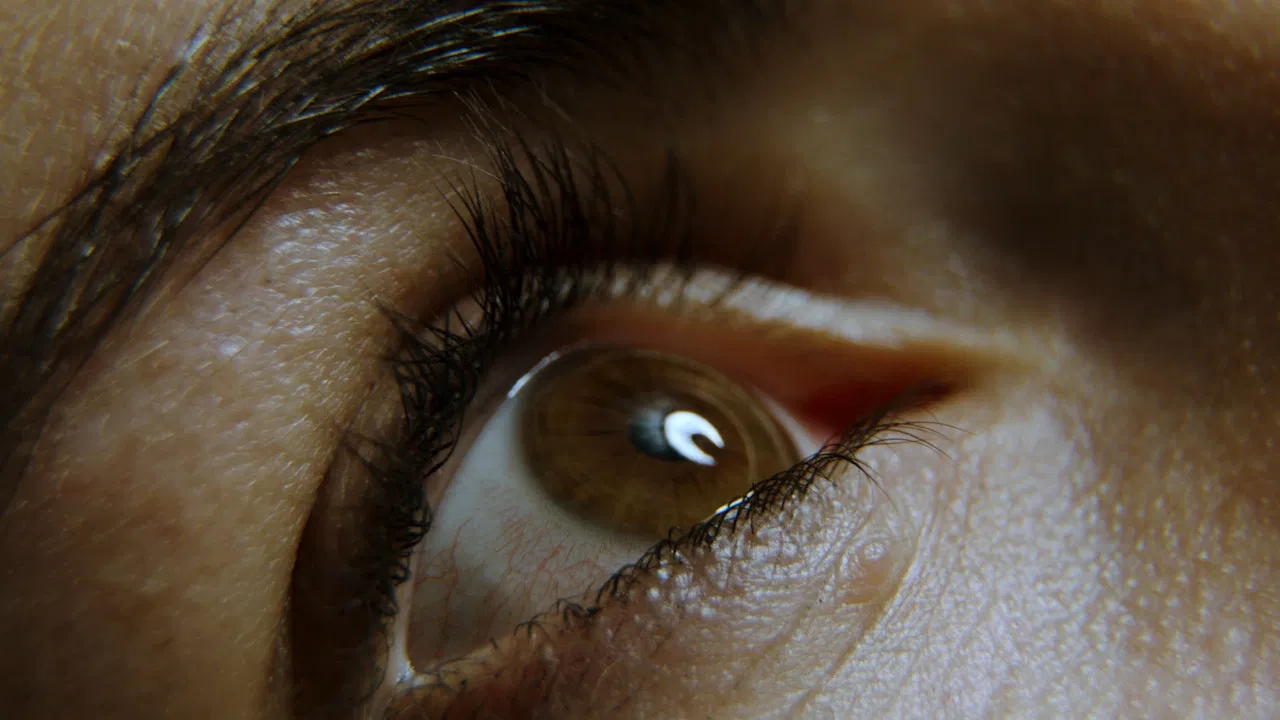 Beyond Zero backdrop