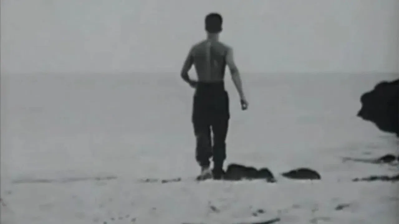 The Forbidden Files backdrop