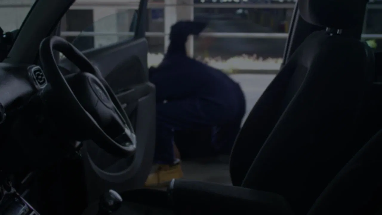 Magenta House backdrop