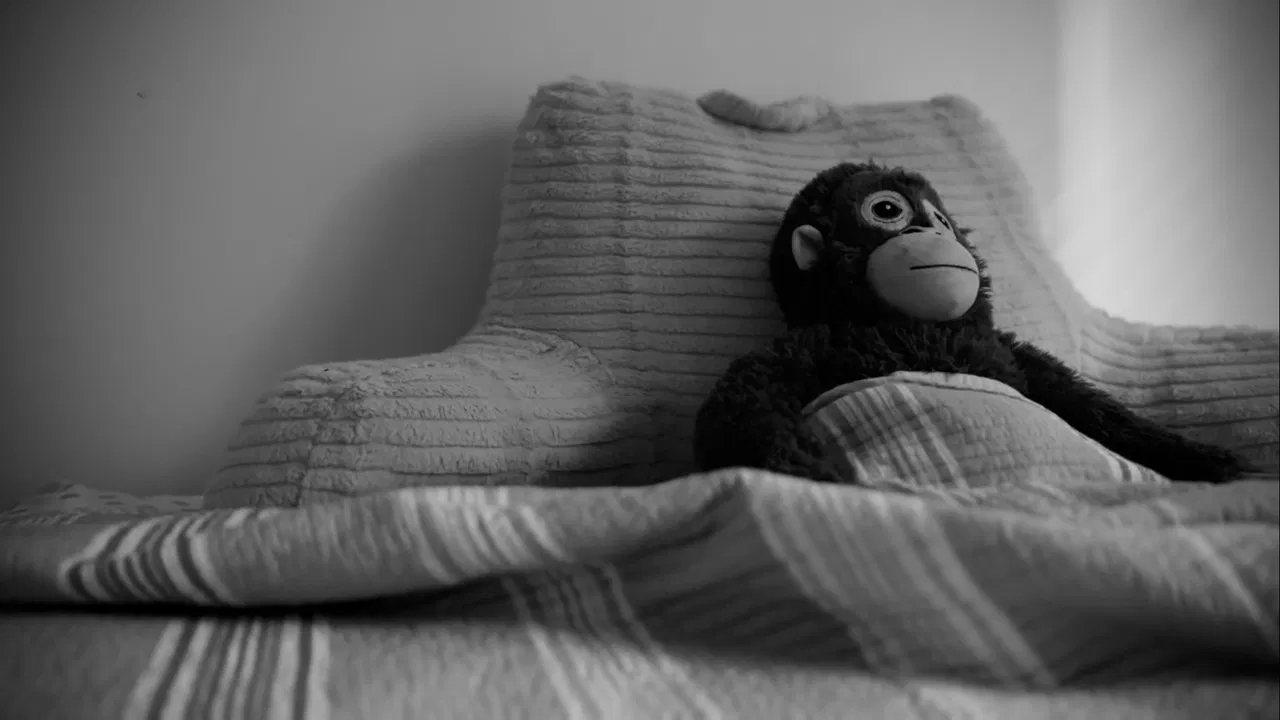 Monkey Business backdrop