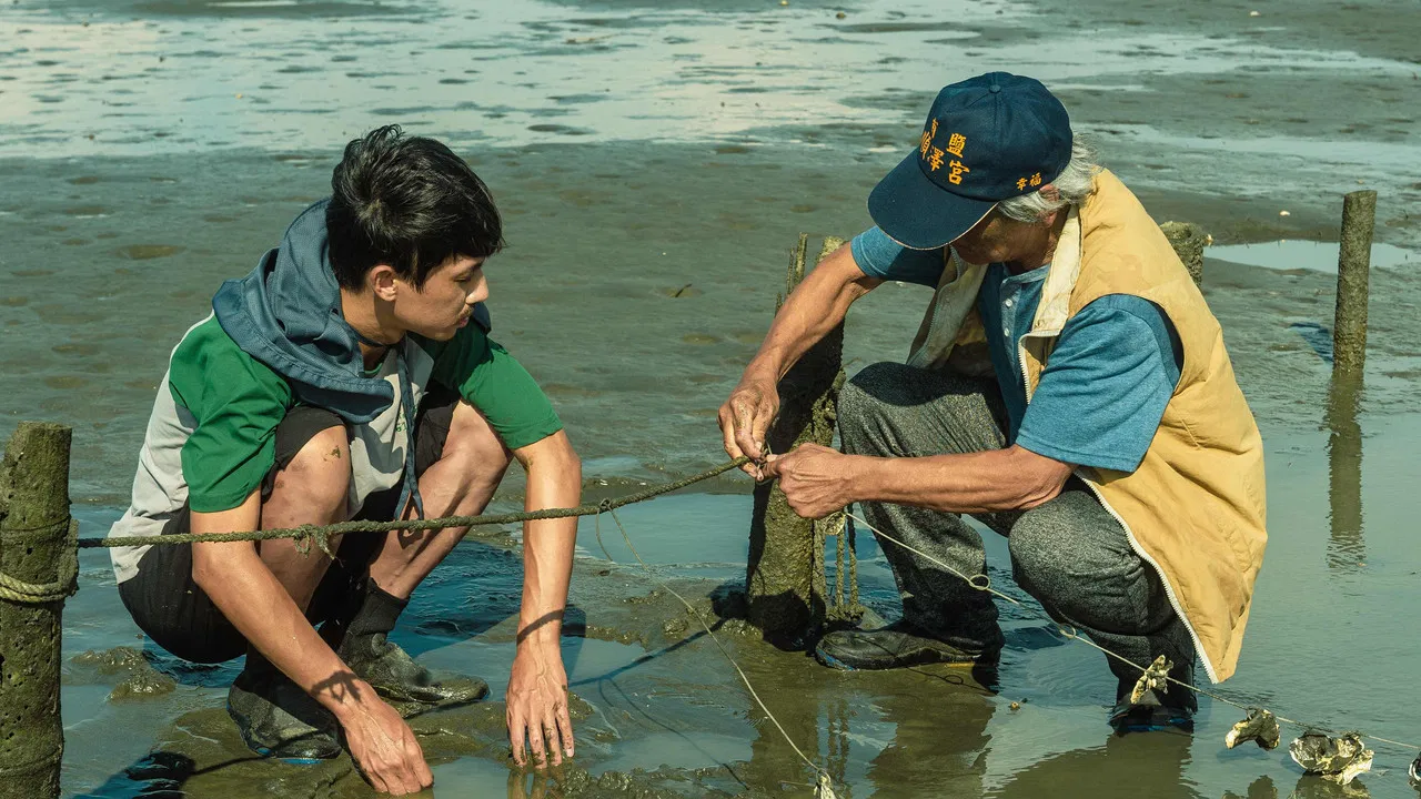 Shell of Men backdrop