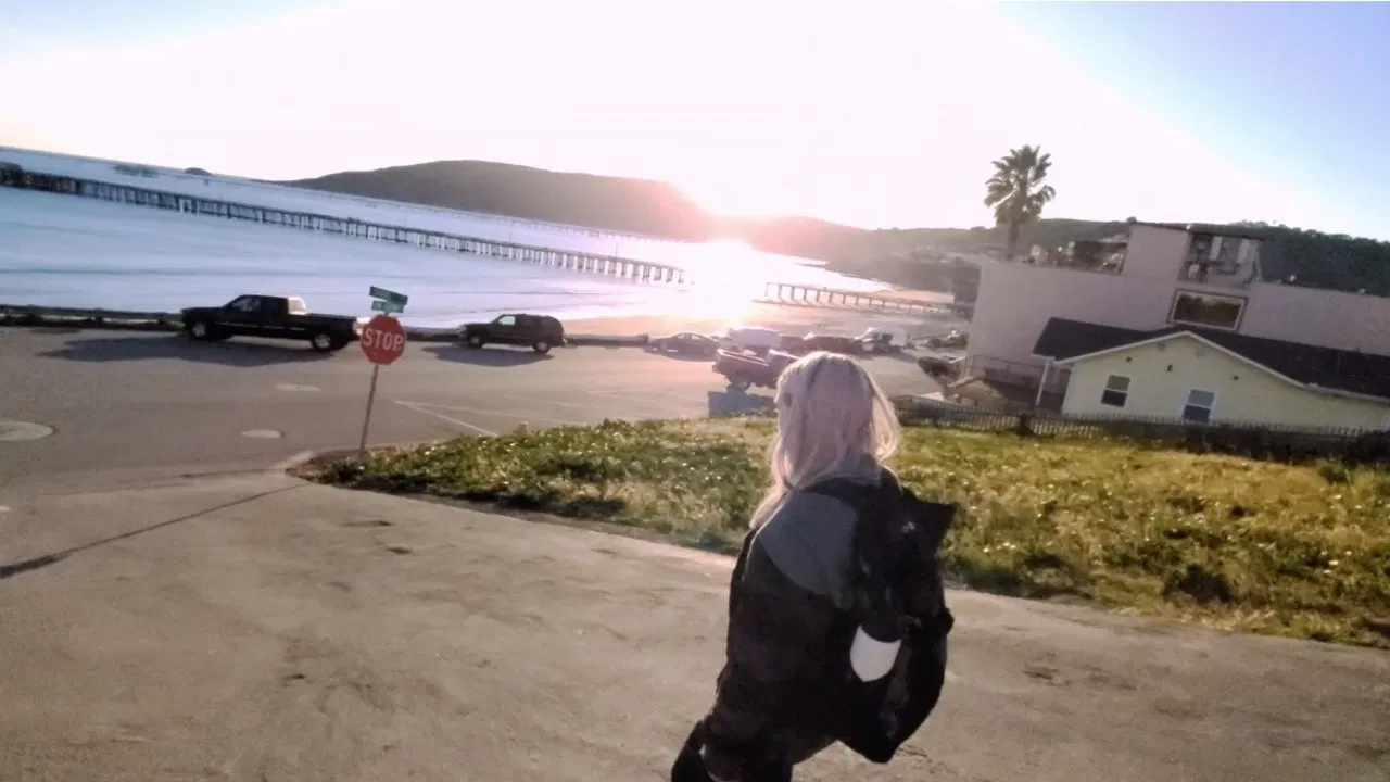 Piece of Paradise backdrop