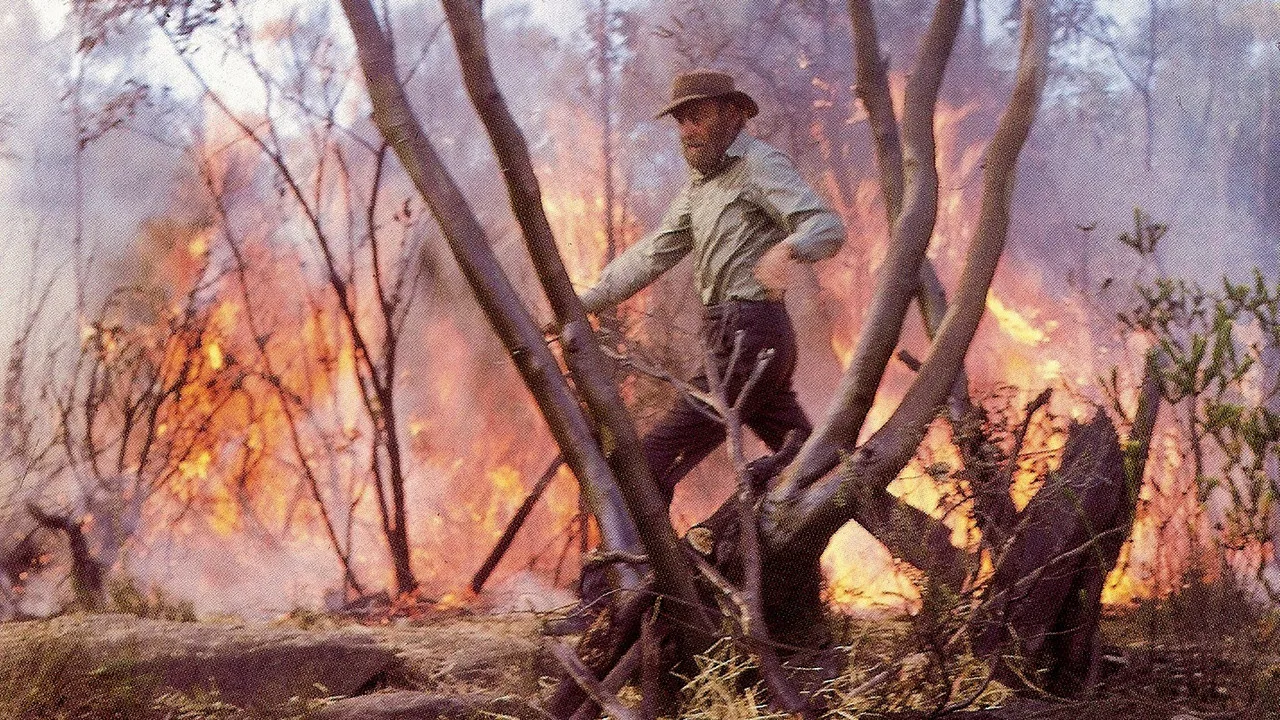 The Outsiders backdrop