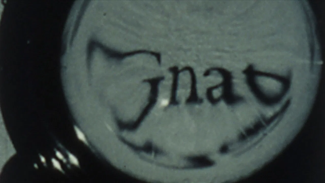 Looking Glass Insects backdrop