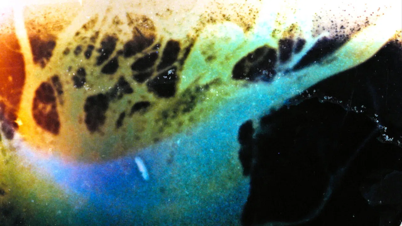 the mirage of ultra-realistic hands backdrop