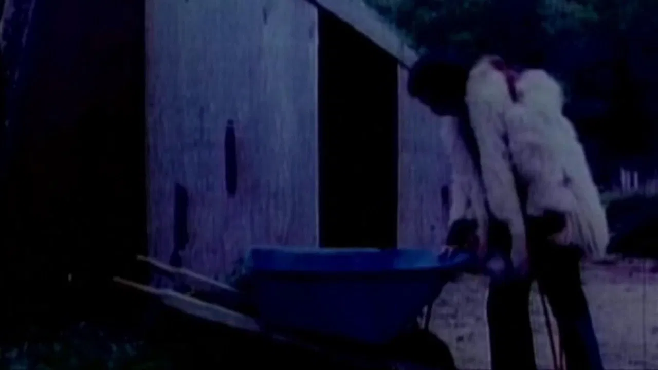 Tales That'll Tear Your Heart Out backdrop