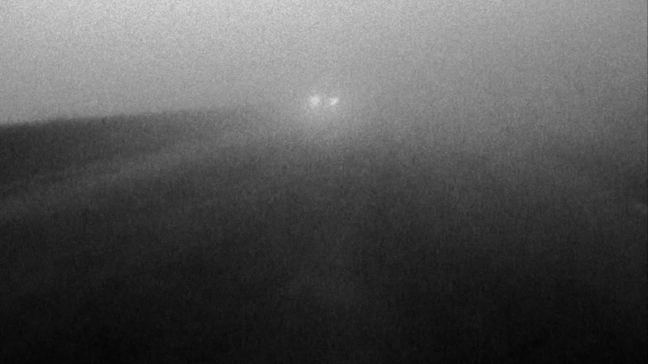 I Lit the Fire! backdrop