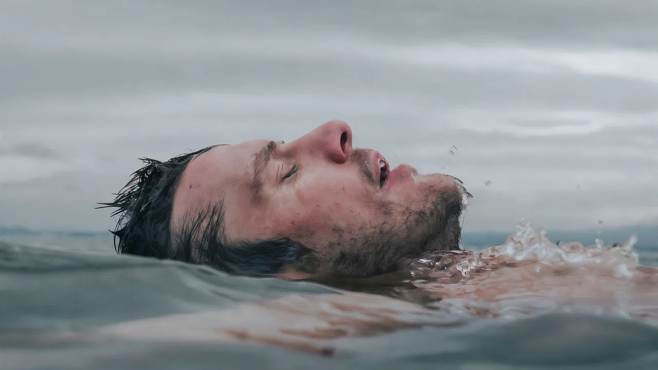 King Frankie backdrop