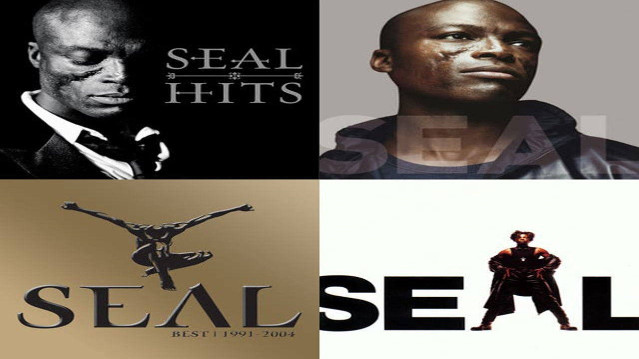 Seal - Best 1991 to 2004 backdrop