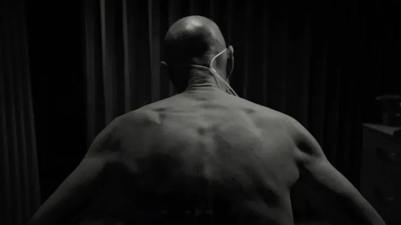 Twenty Twenty backdrop