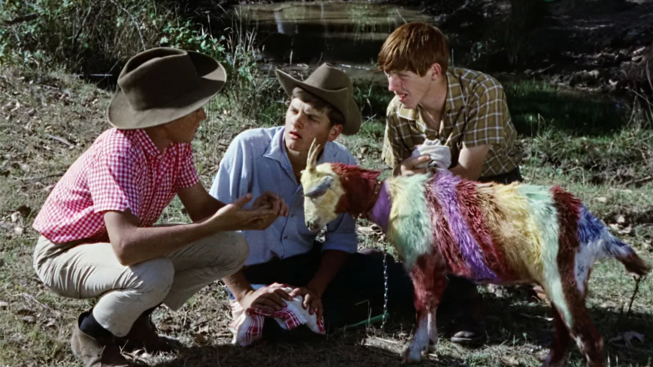 Funny Things Happen Down Under backdrop