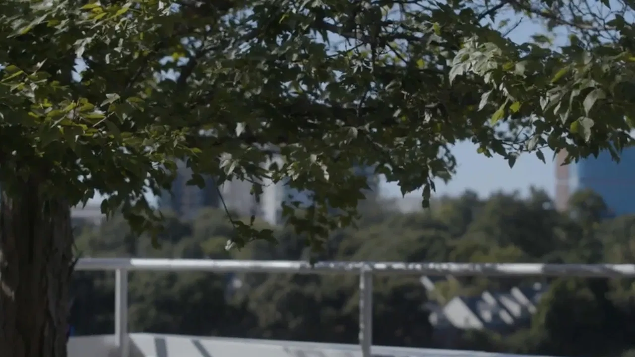 The City He Forgets backdrop