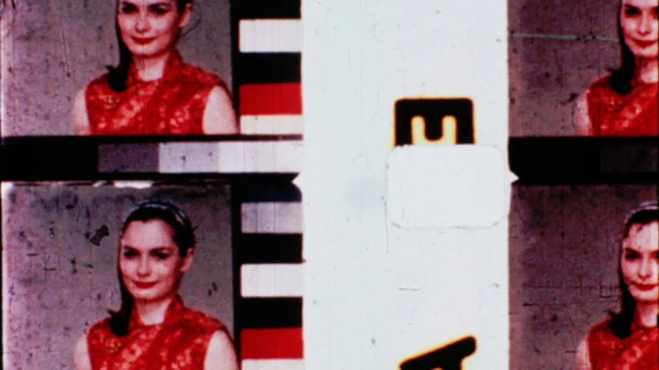 Film in Which There Appear Edge Lettering, Sprocket Holes, Dirt Particles, Etc. backdrop