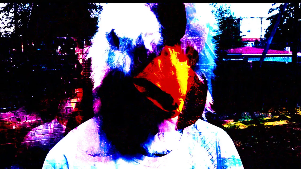 Why he got a chicken on his head? backdrop