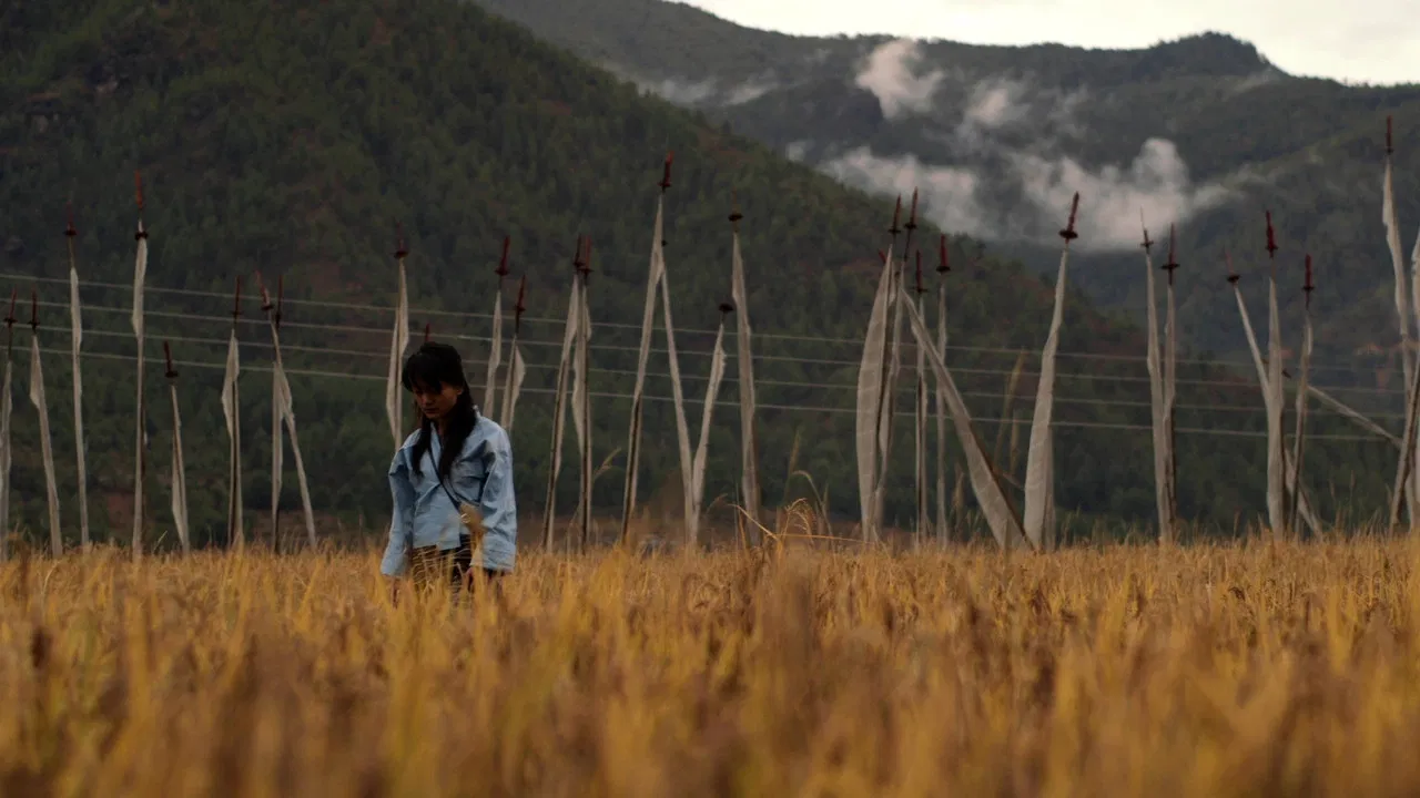 3 Year 3 Month Retreat backdrop