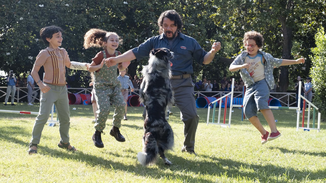 The Trainers backdrop