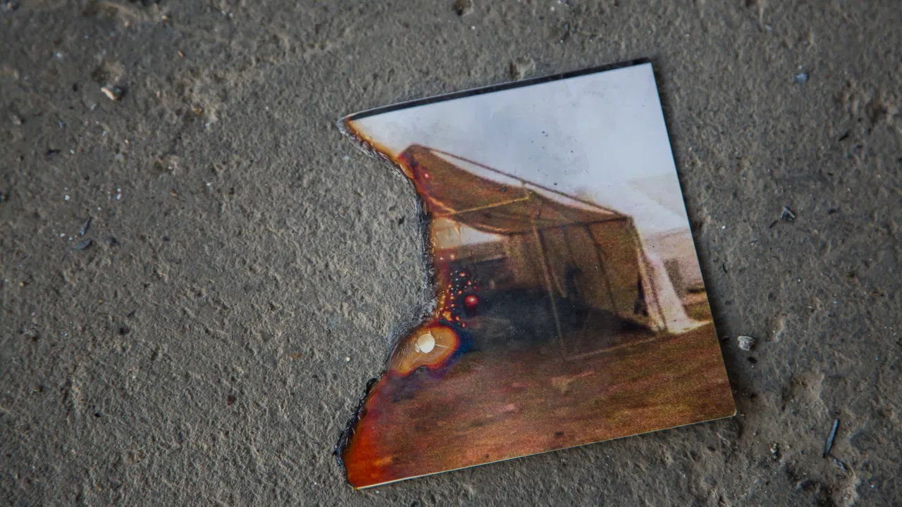 The Investigator backdrop