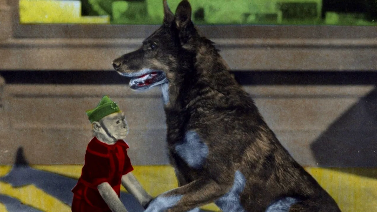 Rinty of the Desert backdrop