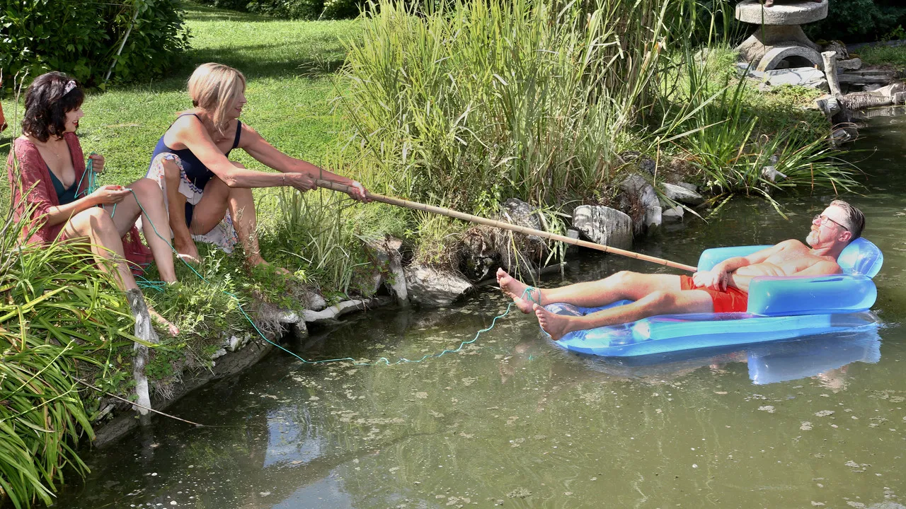 Joint Custody backdrop