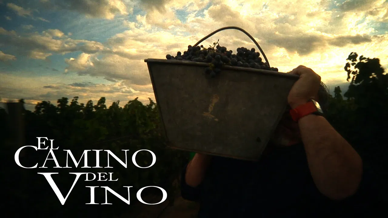 El camino del vino backdrop