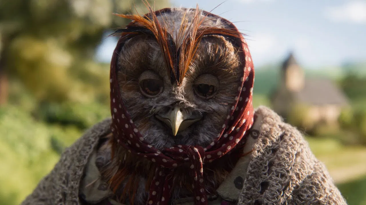 Raymonde or the Vertical Escape backdrop