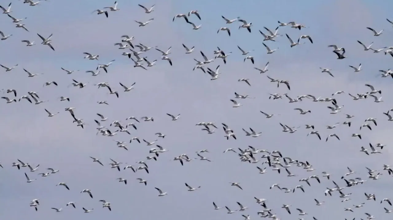 Everything Is All Right backdrop