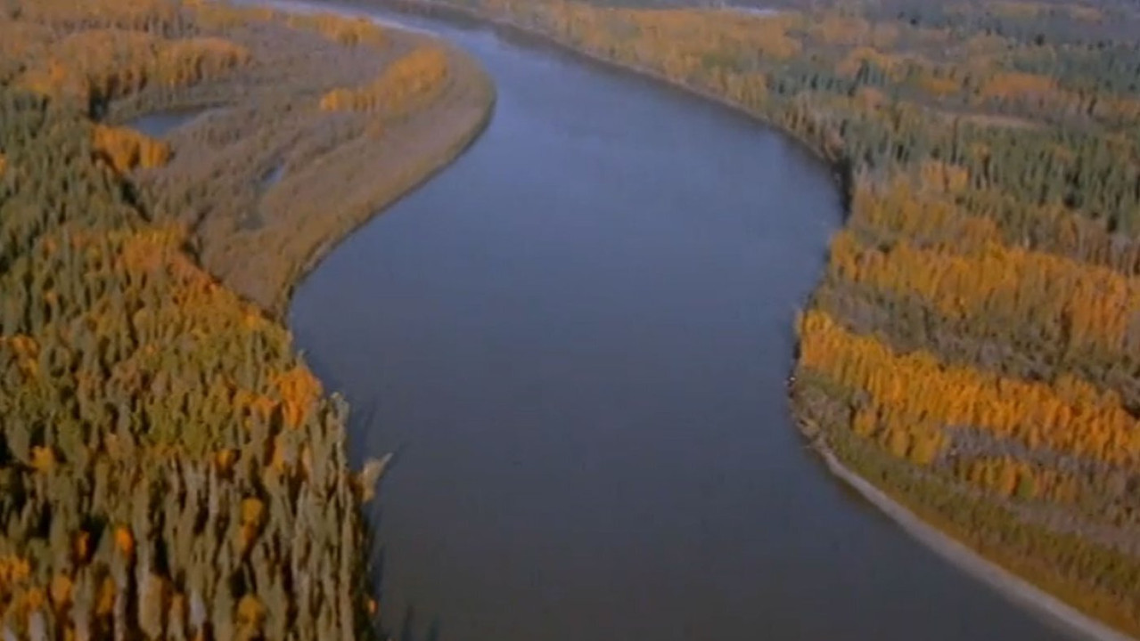Footprints in the Delta backdrop