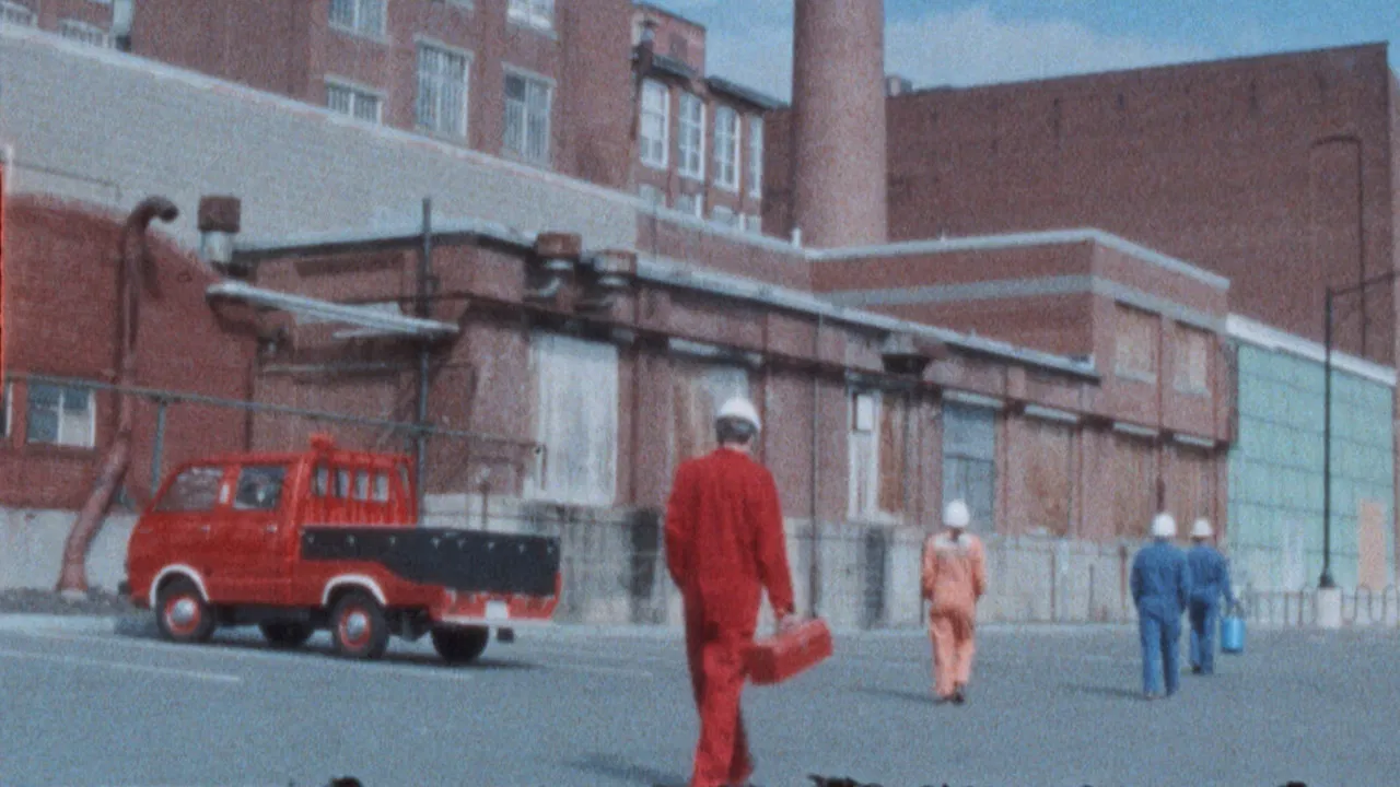 Week in Paradise backdrop