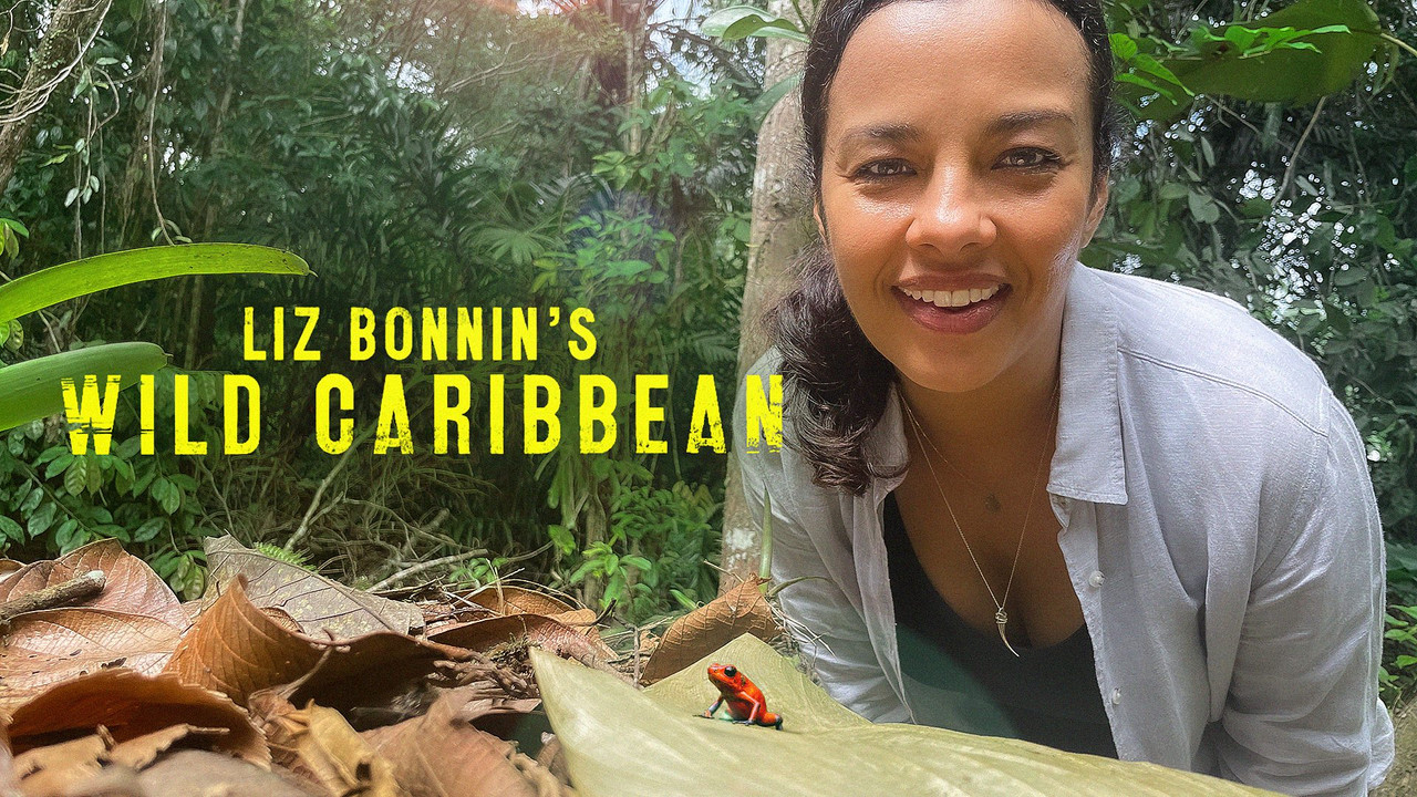 Liz Bonnin's Wild Caribbean backdrop