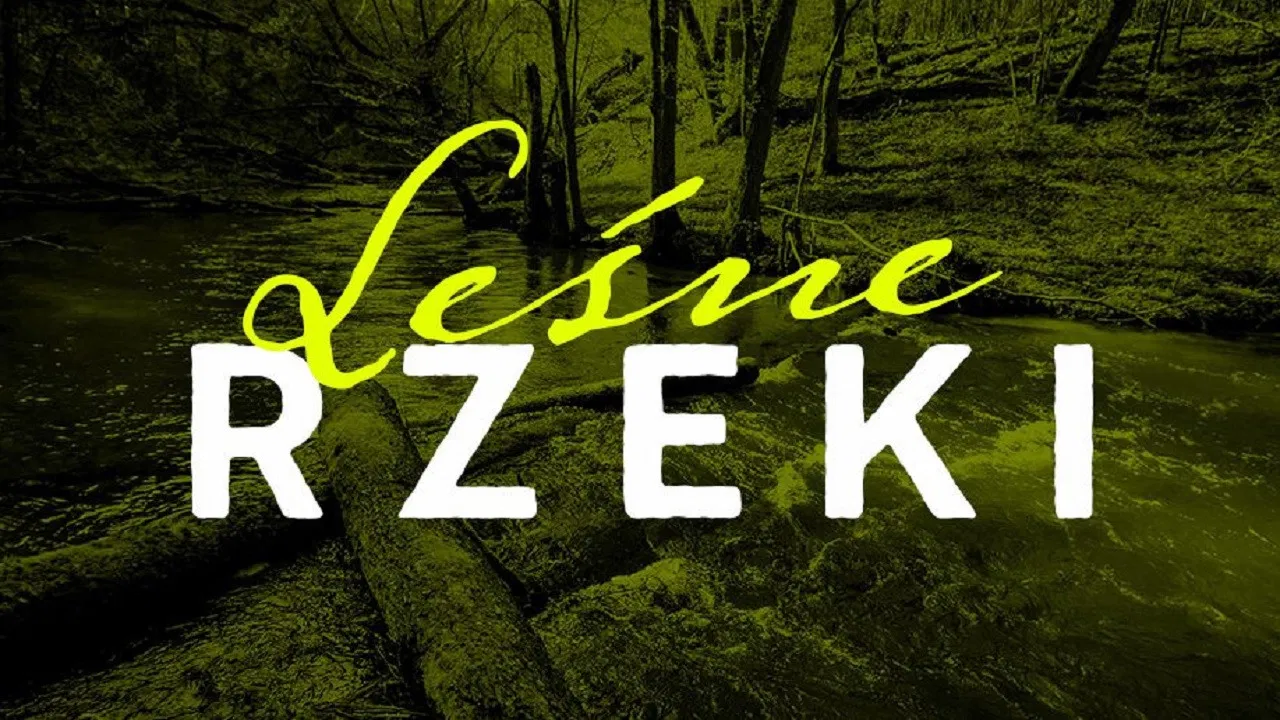 Leśne rzeki backdrop