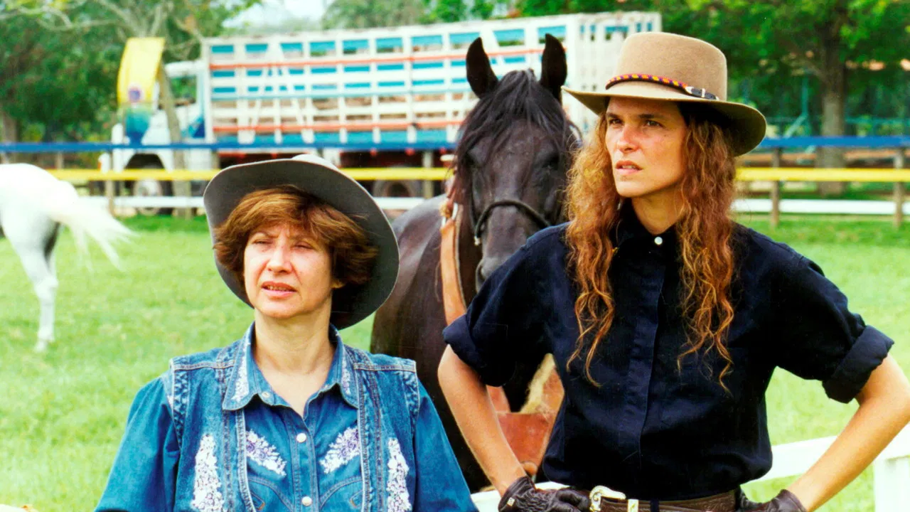 Corpo Dourado backdrop