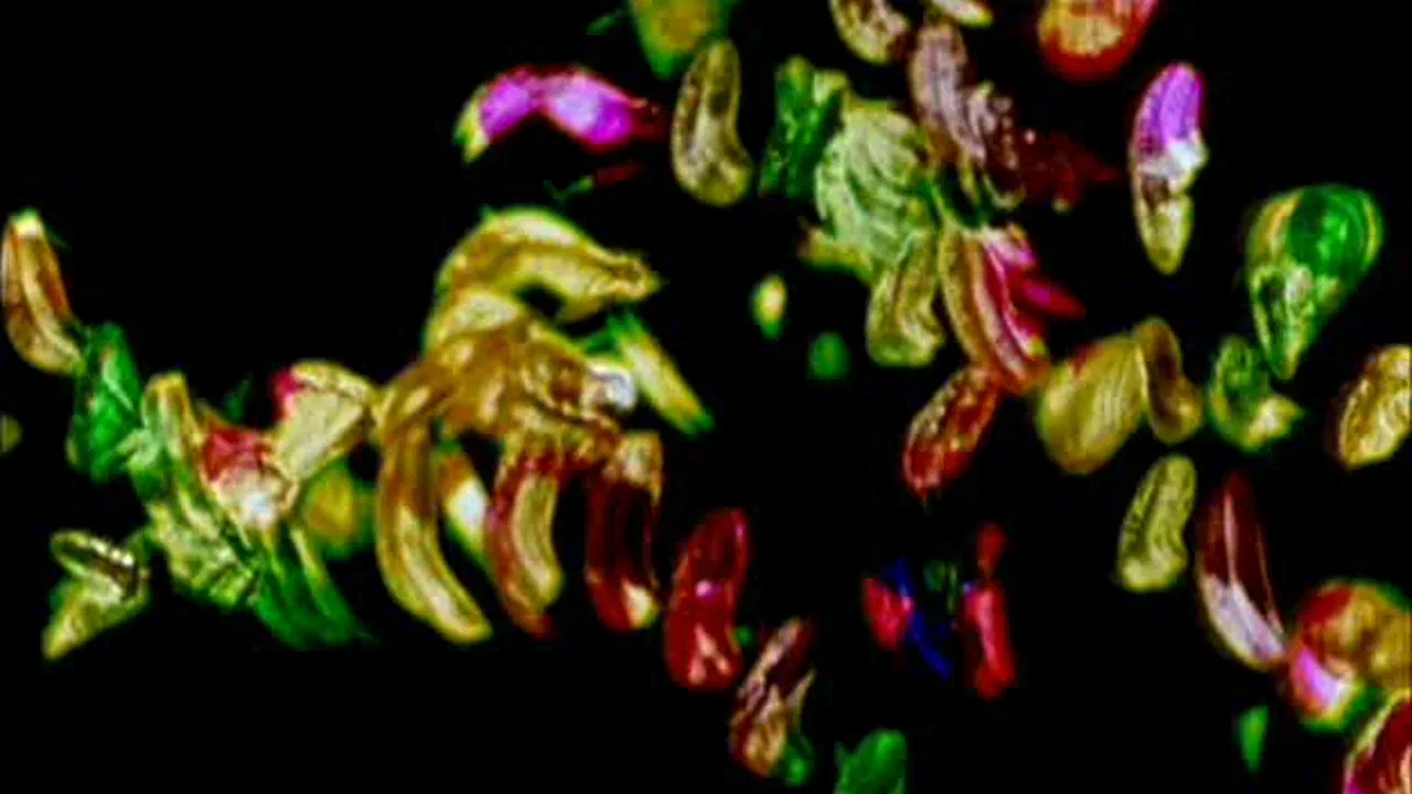 Glaze of Cathexis backdrop