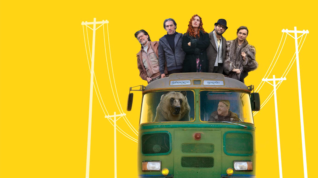 Chola the Bear backdrop