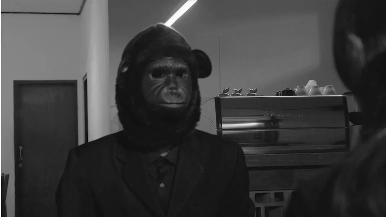 Red Wild Mushroom backdrop