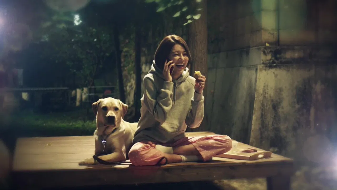 Perfect Sense backdrop