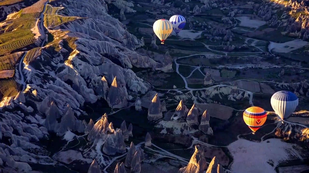 Hidden Turkey backdrop