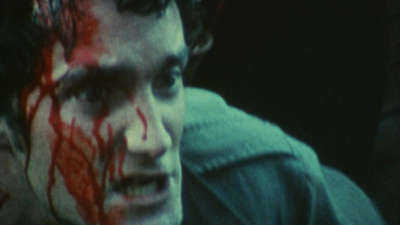 A Grin Without a Cat backdrop