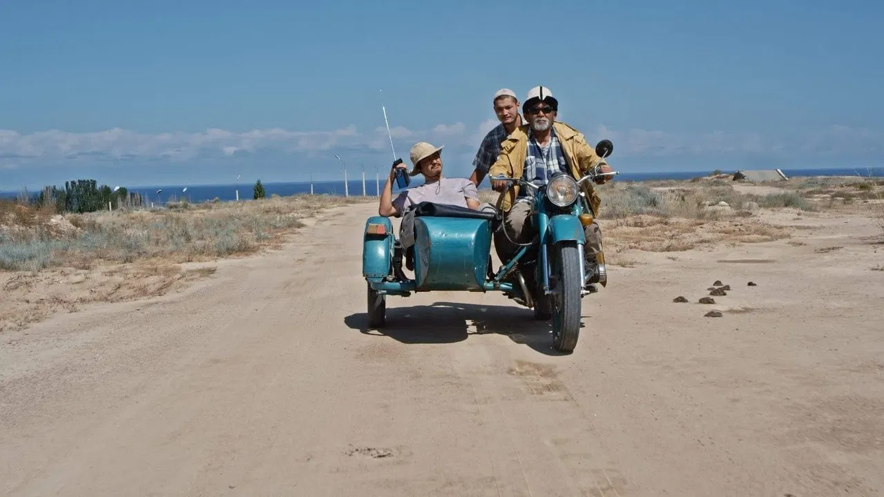 Night Accident backdrop