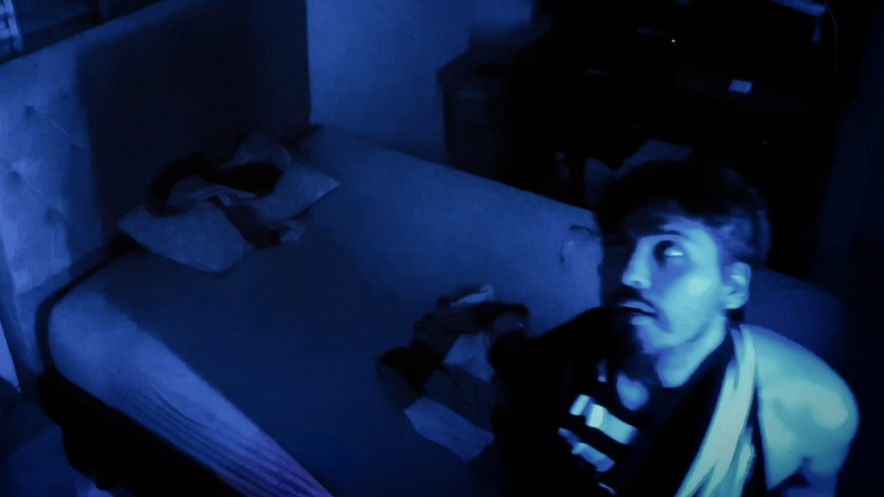 The Nocturnal Visitor backdrop