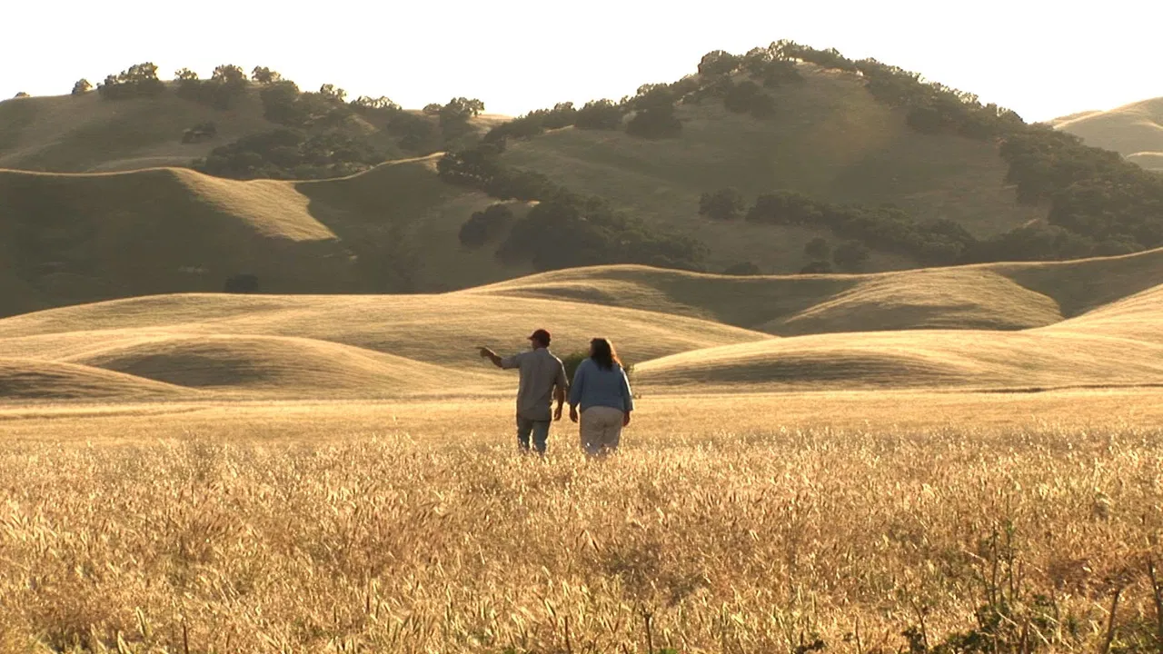 The Last Crop backdrop