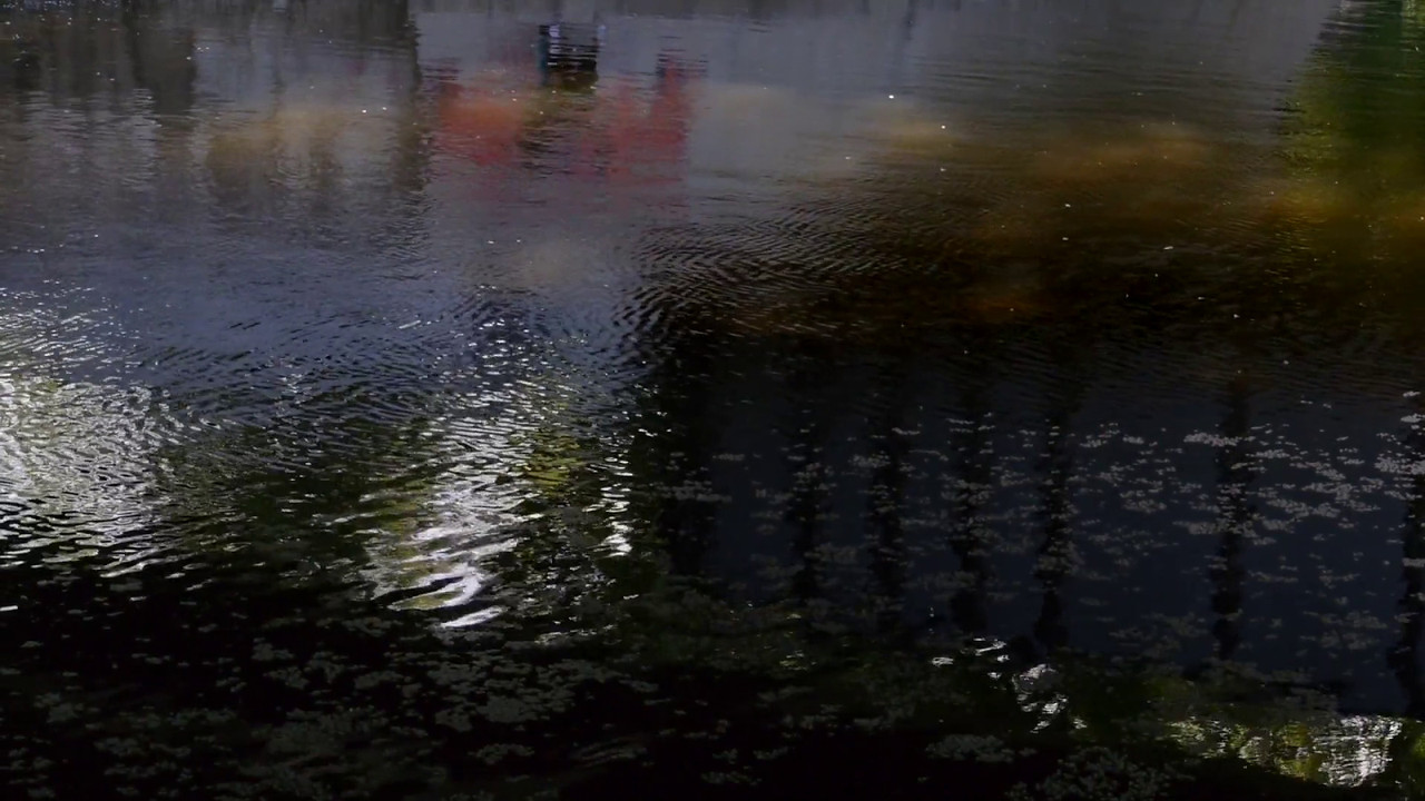 Watercolor (Fall Creek) backdrop