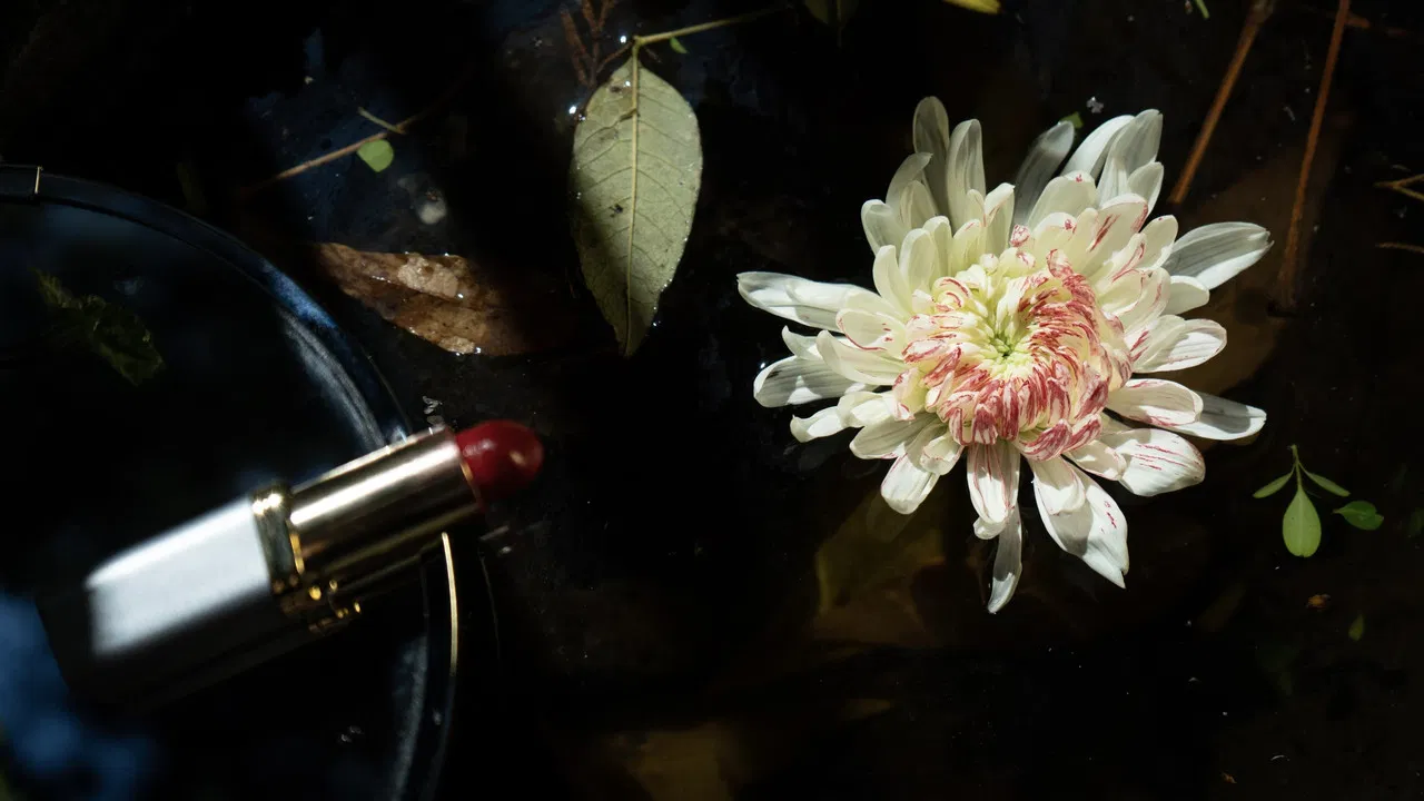 Pétalos de leche backdrop