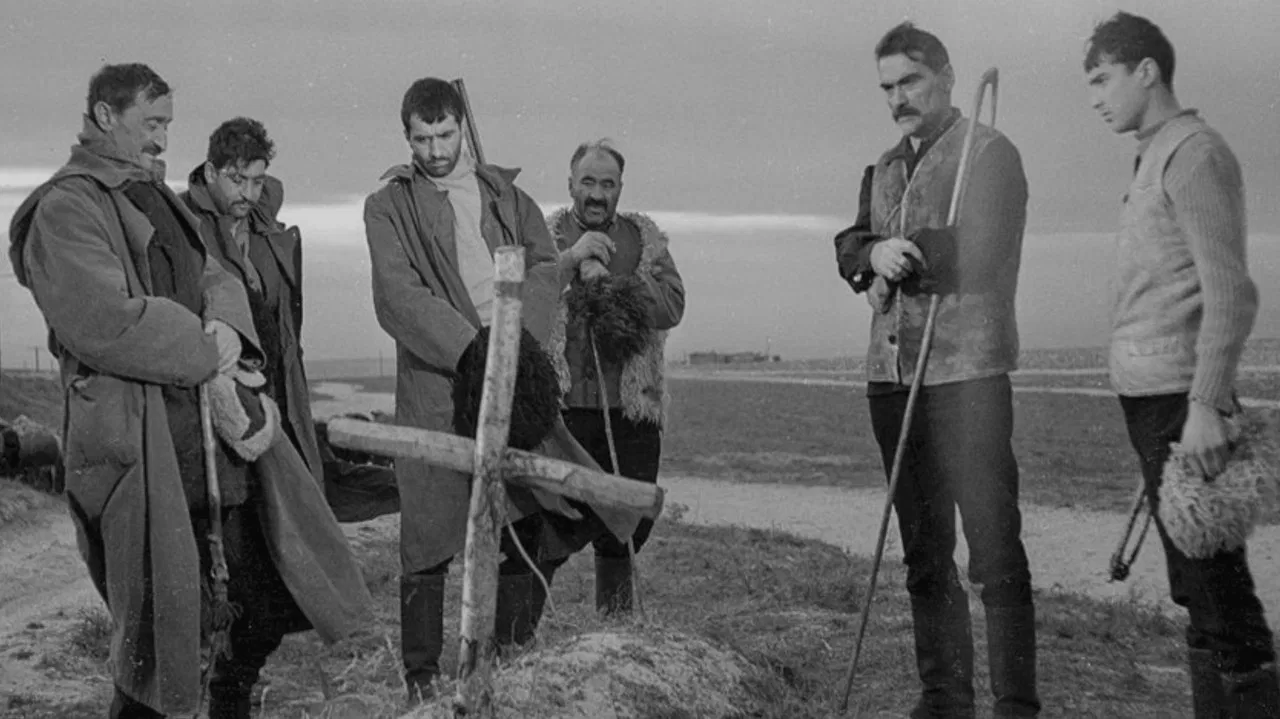 The White Caravan backdrop