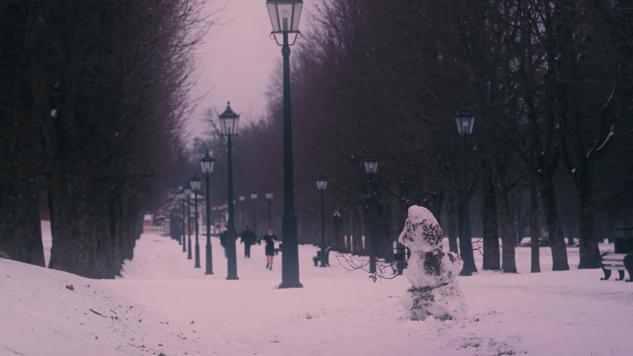 One Crow Sorrow backdrop