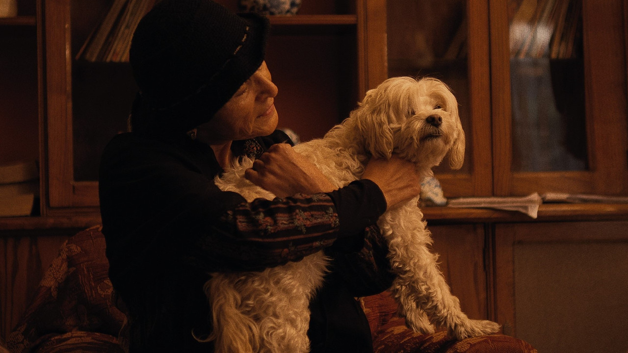 Agua con Azúcar backdrop