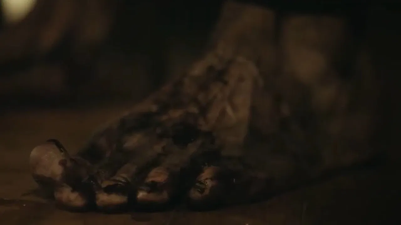 Retratos del Apocalipsis backdrop