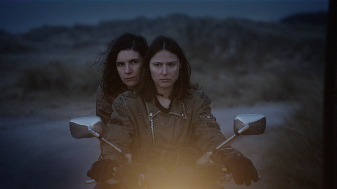 Metamorphosia backdrop