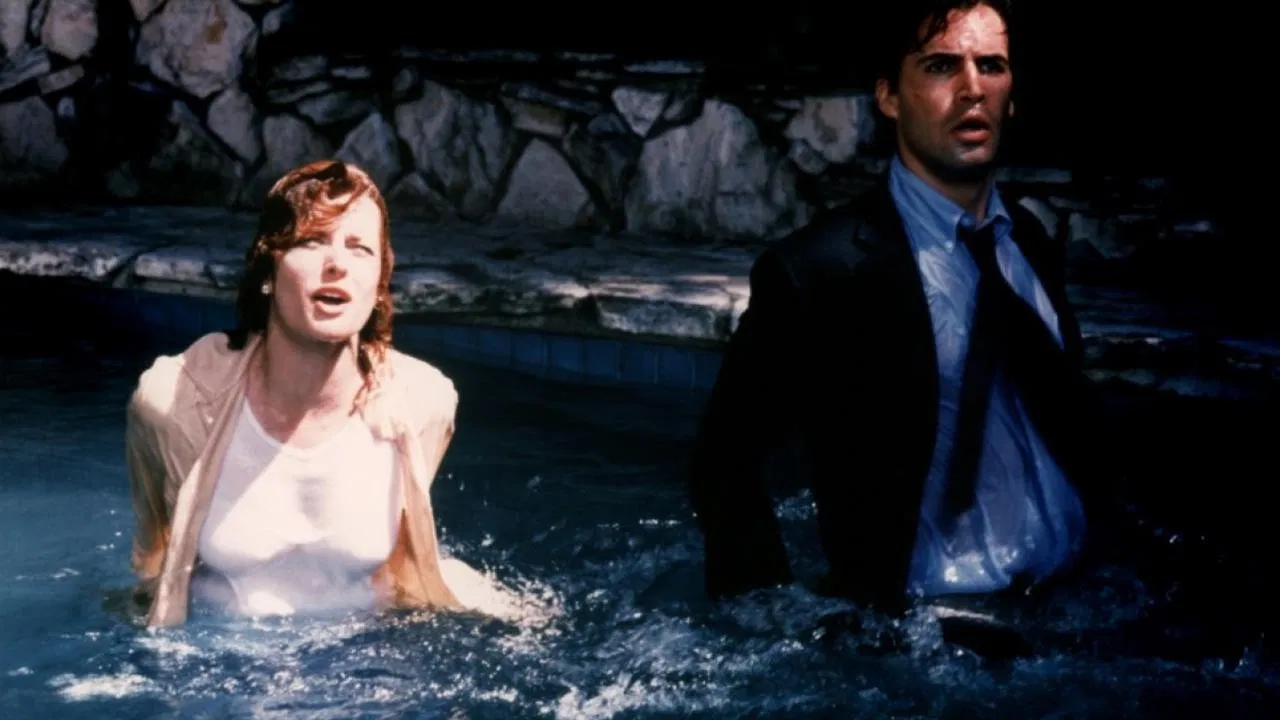 Susan's Plan backdrop